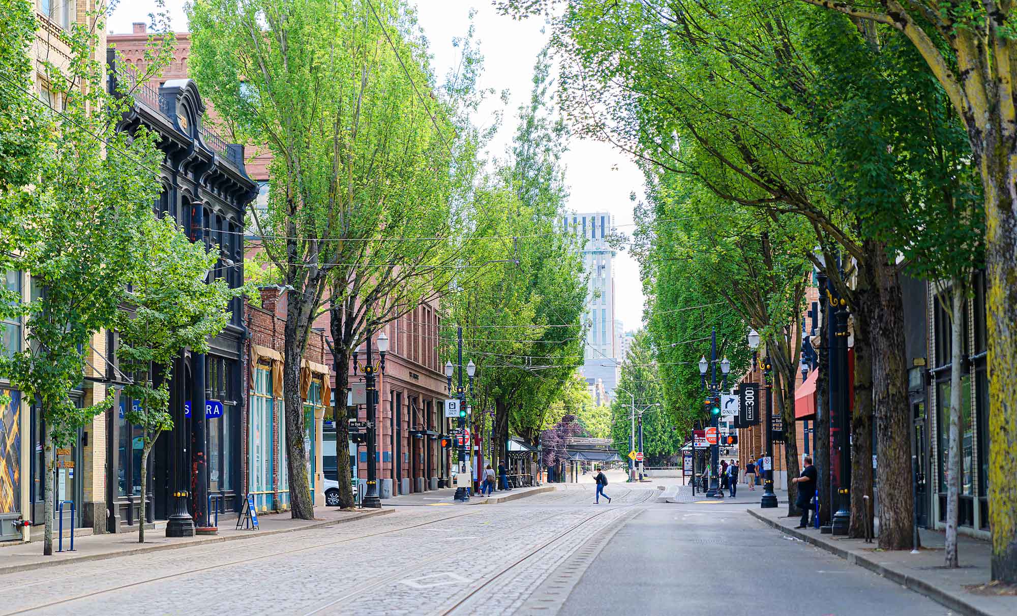 Tree lined streets in Downtown Old Town Portland Oregon near 230 Ash Luxury Apartments